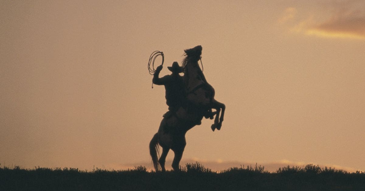 silhouette of a cowboy on a galloping horse, with a whip in hand, against a sunset